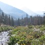 Jean approaches a stream crossing as smoke from Idaho and west Montana forest fires descends.