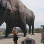 The National Buffalo Museum in North Dakota.<br />					