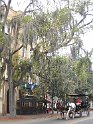 IMG 3984