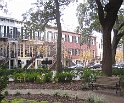 IMG 3985