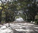 IMG 3988