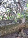 IMG 4015
