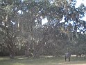 IMG 4020