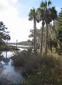 IMG 4023