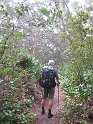 IMG 4064