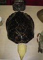 IMG 4077