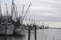 IMG 4091