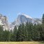 IMG_3796