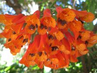 IMG_3950