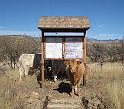 22IMG 0148