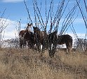 24IMG 0155
