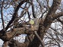 27IMG 0165