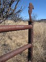 36IMG 0177