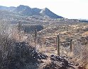 38IMG 0181
