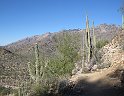 48IMG 0205