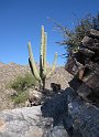 50IMG 0208