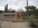 55IMG 0229