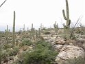 56IMG 0227