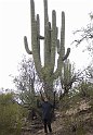 57IMG 0226