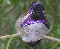 62IMG 0246