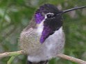 63IMG 0247