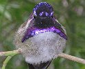 64IMG 0248