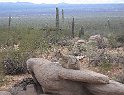 69IMG 0257