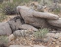 70IMG 0260