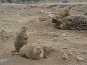 72IMG 0262