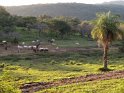 A bucolic scene near our lodge.