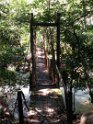 Costa Rica prioritizes its national parks and we saw many recent improvements. This is the old bridge. . .