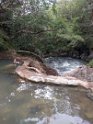 One upside of volcanic activity is hot springs. These pools on the Rio Negro are of varying temperatures up to 102 degrees Farenheit.