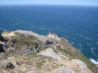 28  Jean and I do some sight-seeing at Point Reyes, home of a famous lighthouse.