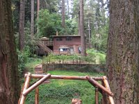 3  The property ran down the steep hillside, dotted with gigantic cedars and Douglas firs.