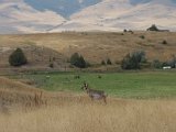 23butte.JPG