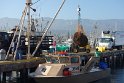 We were surprised to find that Santa Barbara still is an active fishing port. This is a fresh load of sea urchins.