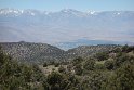 On our way to the Ancient Bristlecone Pine Forest in the White Mountains, Bishop