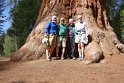 Ancient life forms in Sequoia National Park