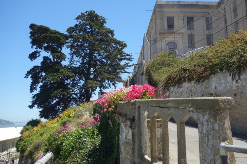 and attractive flora