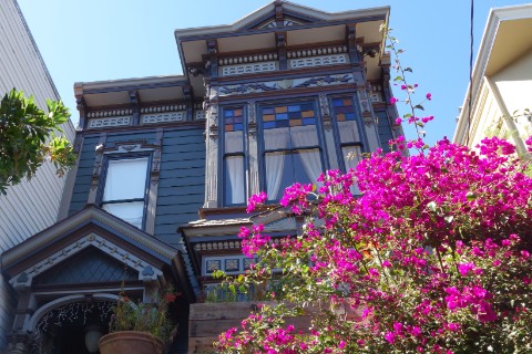 The flowering shrubbery rivalled the architecture