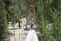 Thankfully, the bouncy bridge at Woods Creek survives