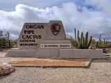 A few miles and one Border Patrol checkpoint down the road is Organ Pipe