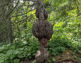 14burl