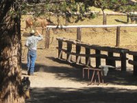At the nearby pack station, a wrangler pracftices his roping technique.
